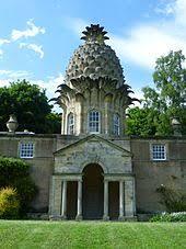 The Pineapple