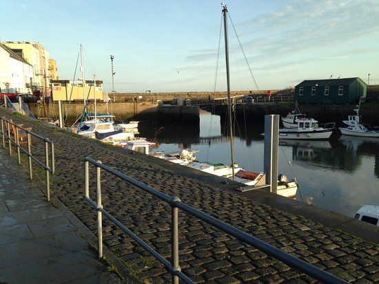 St Andrews Harbour Trust