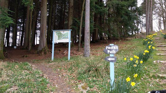 Corbenic Poetry Path