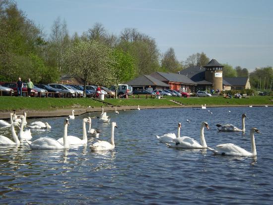 Castle Semple Country Park