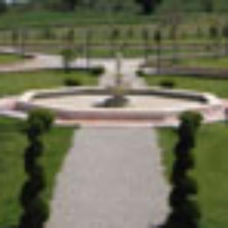 Sun Fish & Chicken Bar