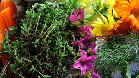 Botanica at The Barn