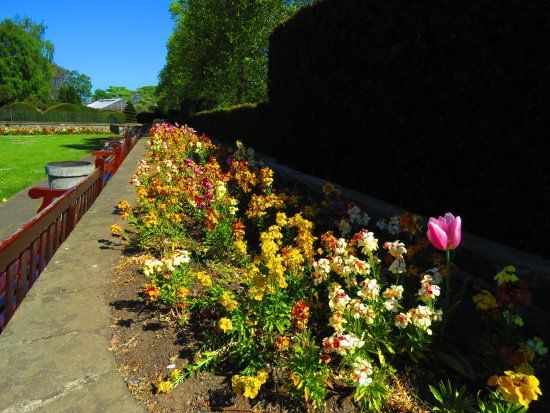 Saughton Park and Winter Gardens