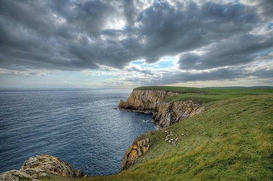 RSPB Mull of Galloway