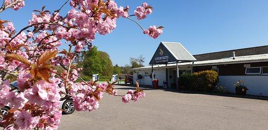 Skiach Services Restaurant