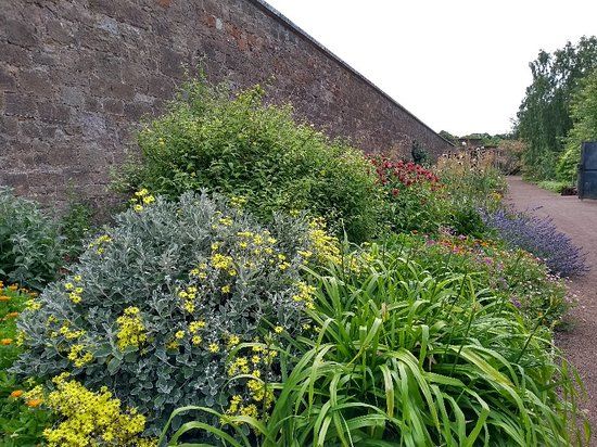 Amisfield Walled Garden