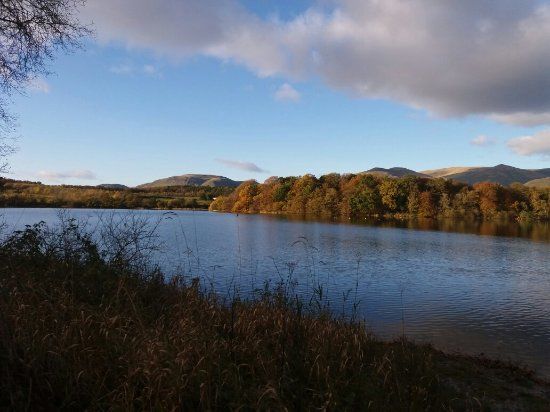 Gartmorn Dam Country Park & Nature Reserve