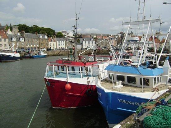 Pittenweem Fish and Chip Bar