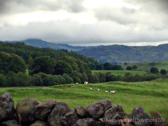 The Wee Scottish Gallery