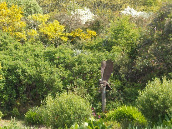 Aldouran Wetland Garden