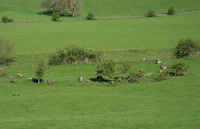 Girdle Stanes