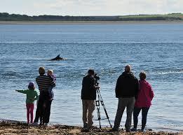 Chanonry Point