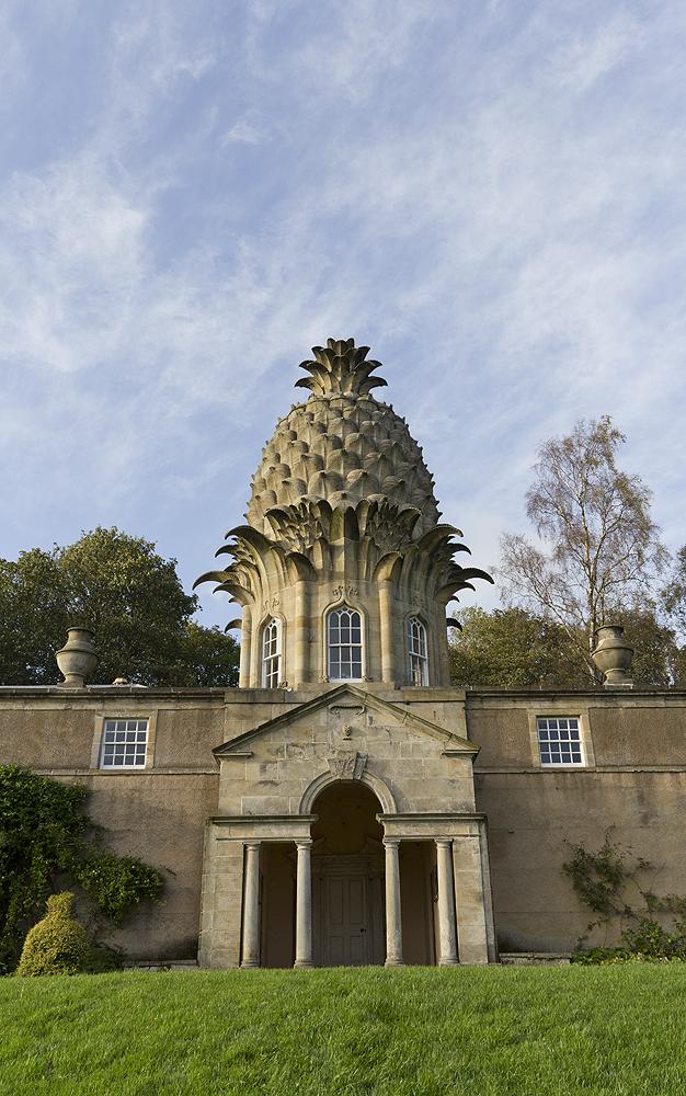 Dunmore Pineapple