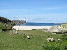 Bosta Beach