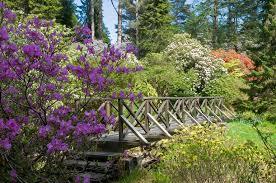 Crarae Garden
