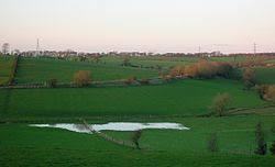 Loch Shield