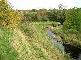 Rotten Calder