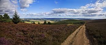 Hill of Fare