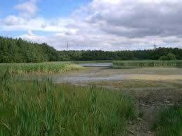 Moor Loch