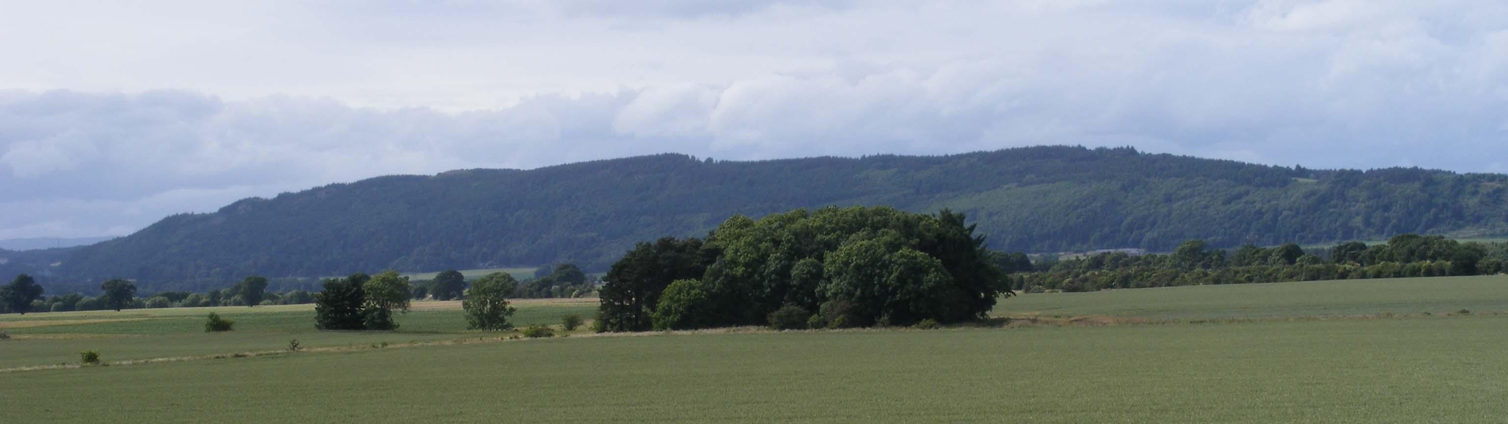 Moncreiffe Hill-fort