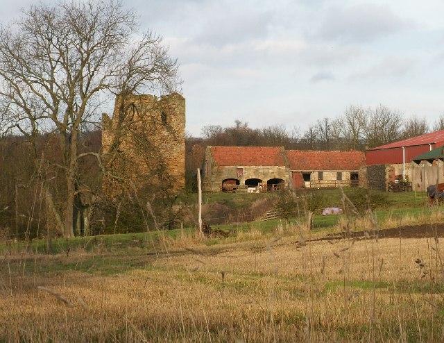 Pitcruvie Castle
