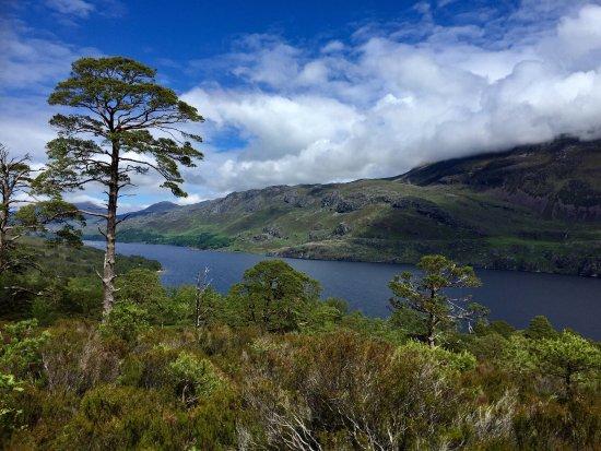 Beinn Eighe Nature Reserve
