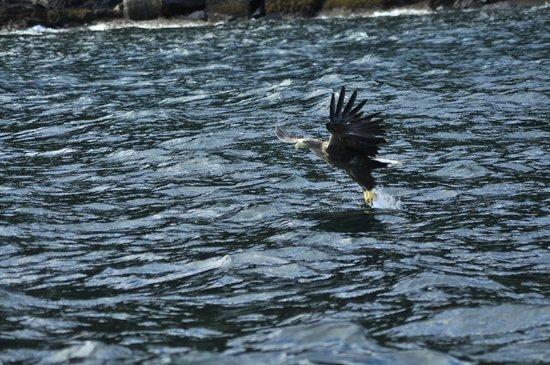 MV Stardust Boat Trips