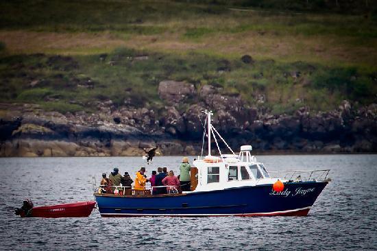 Mull Charters