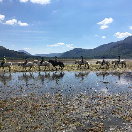 Killiechronan Pony Trekking Isle of Mull