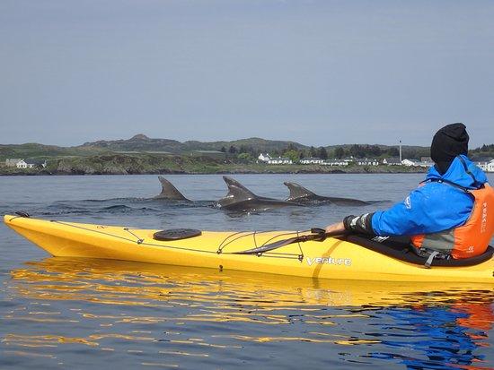 Kayak Wild Islay