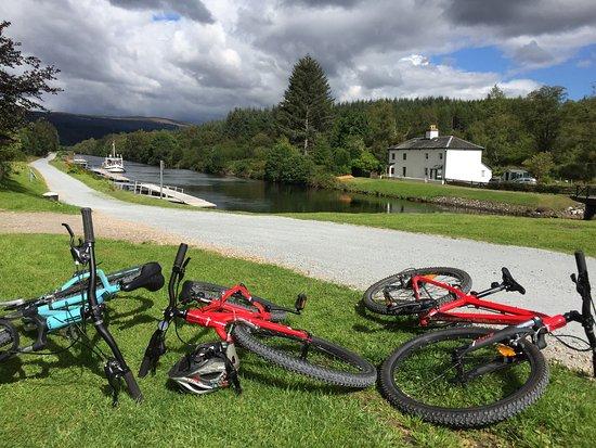 Ness E' Bikes