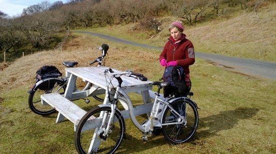 Mull Electric Bikes