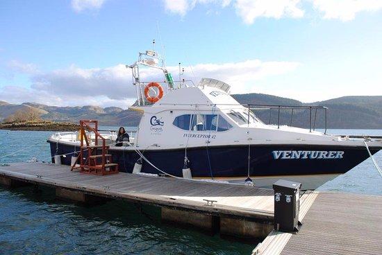 Craignish Cruises