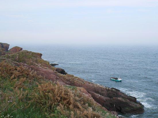 Arbroath to Auchmithie Coastal Path