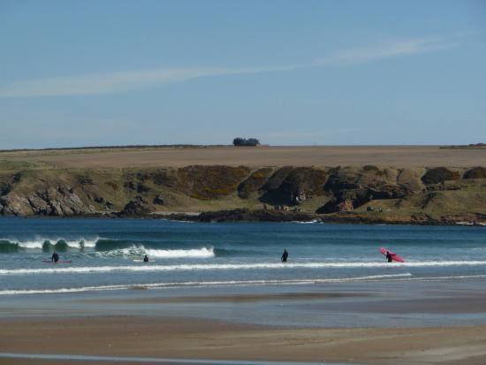 Suds Surf School