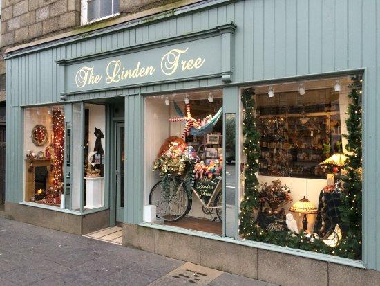 The Linden Tree