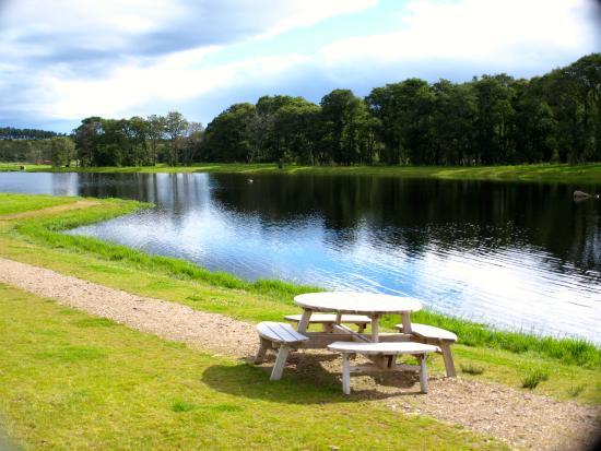 Mill of Kellas Trout Fishery