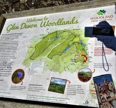 Glen Devon Woodlands