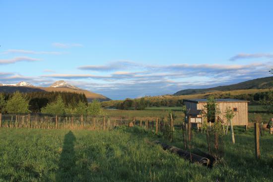 Colin Burt Reserve