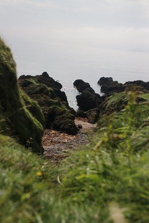 Dunaverty Rock