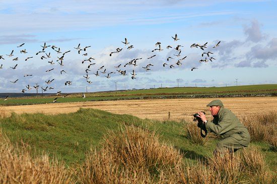 Islay Outdoors