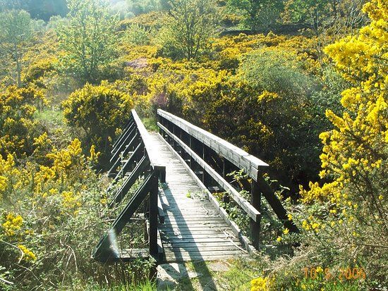 Balmacara Estate and Lochalsh Woodland Walks