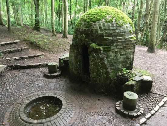 Dunnottar Woods