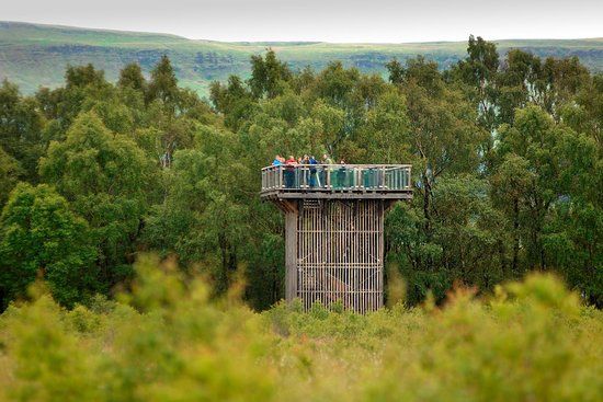 Flanders Moss National Nature Reserve