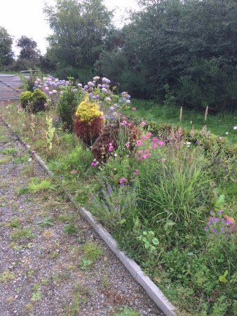 Saltburn Woodland Walk
