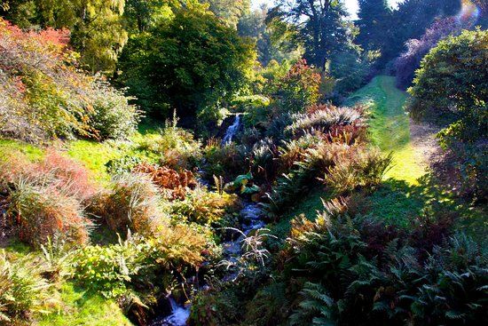 Dawyck Botanic Garden