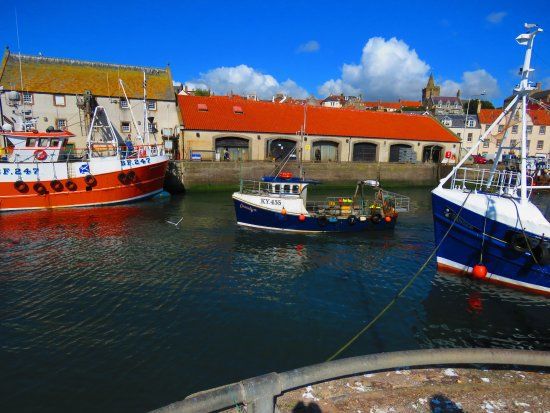 Pittenweem Harbour