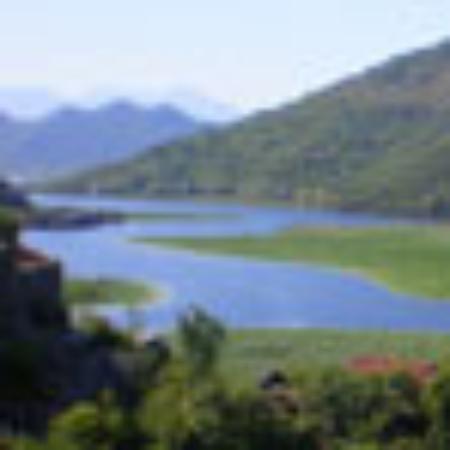 The Conservatory Restaurant