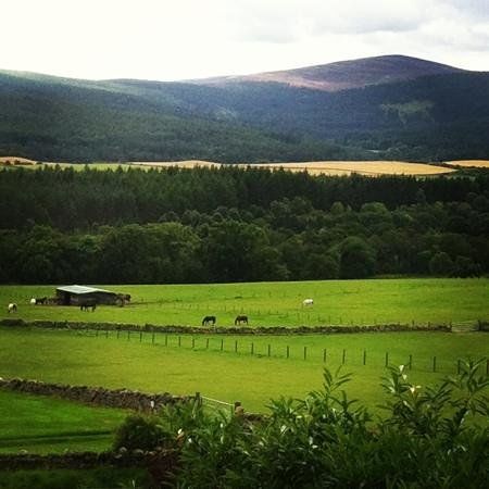 World Horse Welfare Belwade Farm