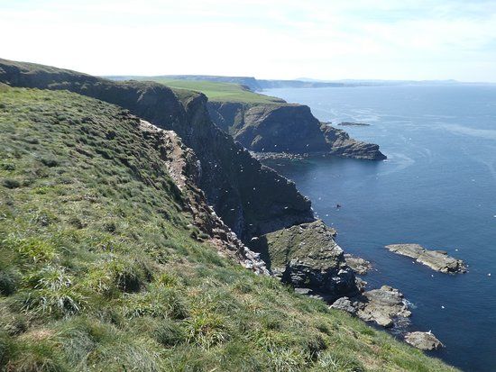 RSPB Troup Head Nature Reserve